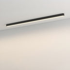 Architectural Strip Flush Ceiling Light