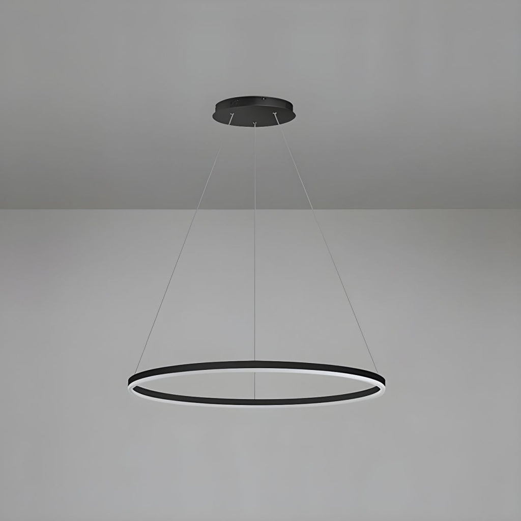 Sculptural Ring Pendant Ceiling Light
