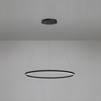 Sculptural Ring Pendant Ceiling Light
