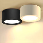 Sculpted Nordic Cylinder Ceiling Downlight