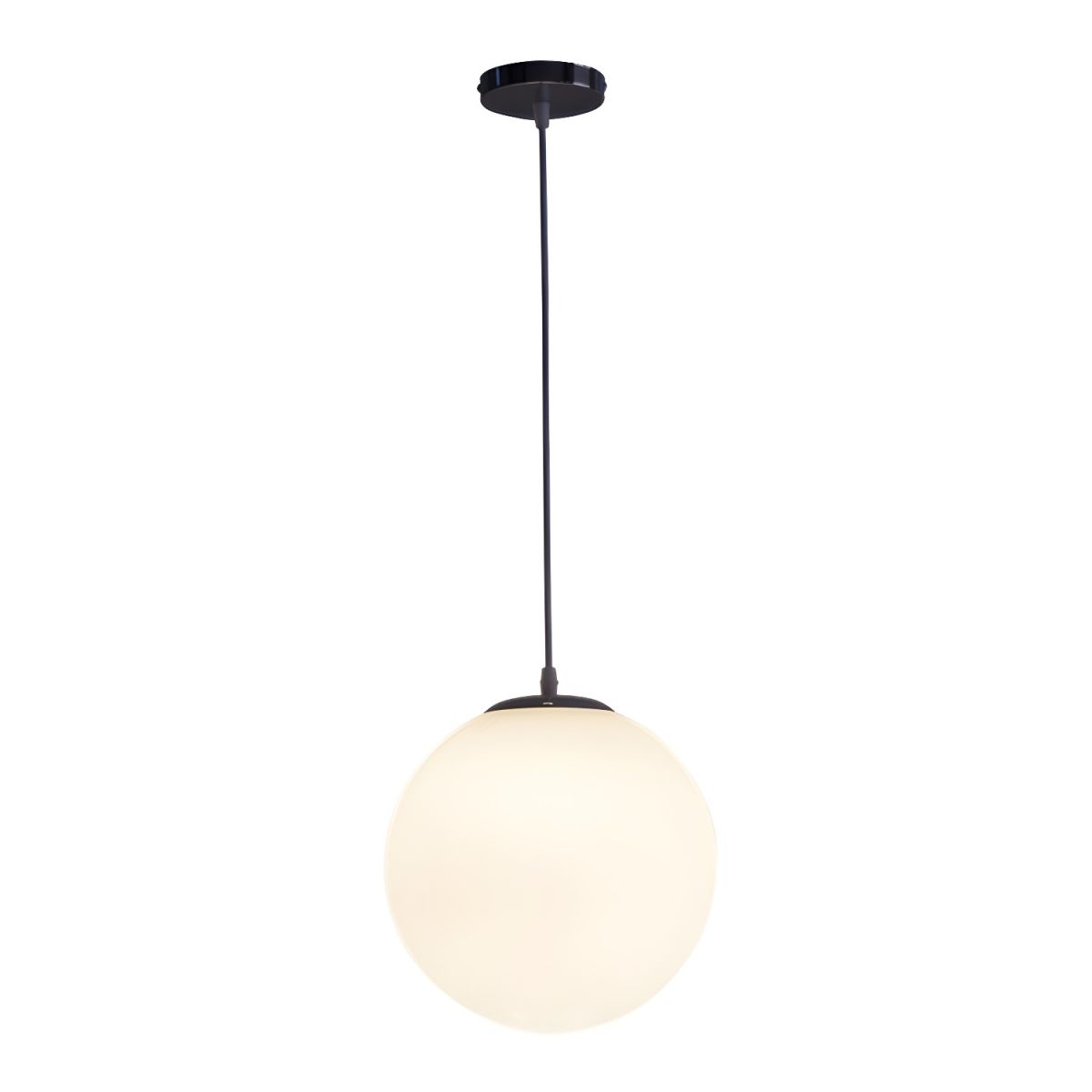 Frosted Globe Pendant Light