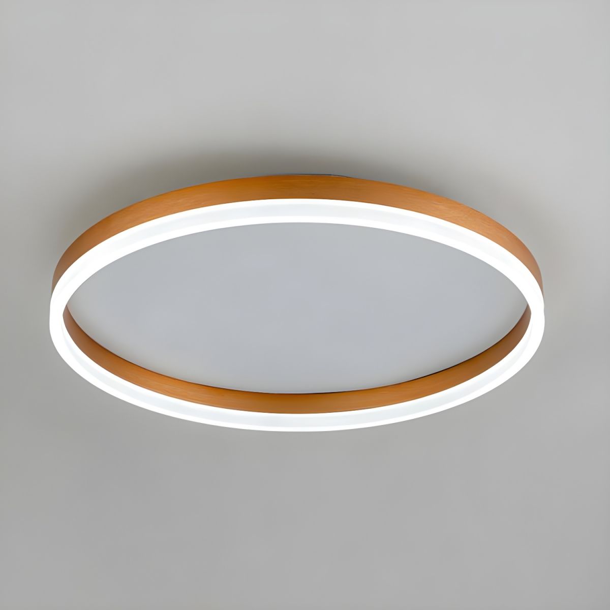 Nordic Minimal Acrylic Disc Ceiling Light