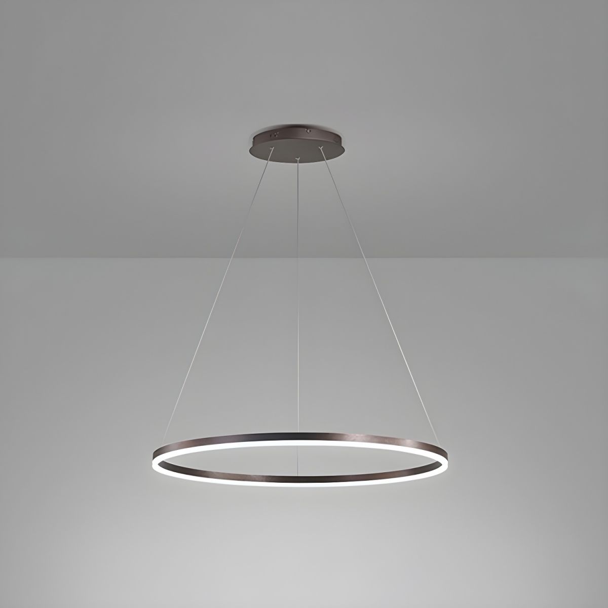 Sculptural Ring Pendant Ceiling Light