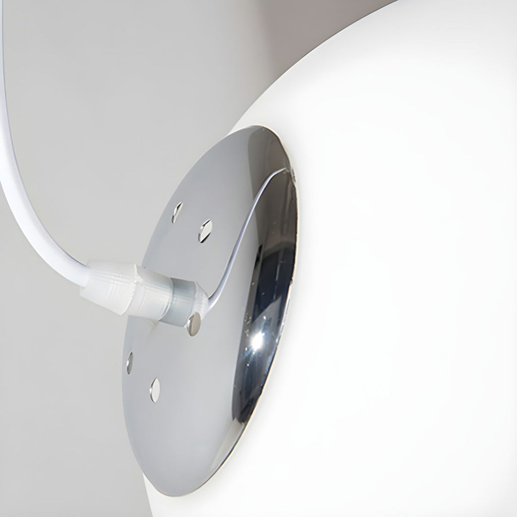 Frosted Globe Pendant Light