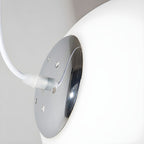 Frosted Globe Pendant Light