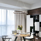 Sculptural Ring Pendant Ceiling Light