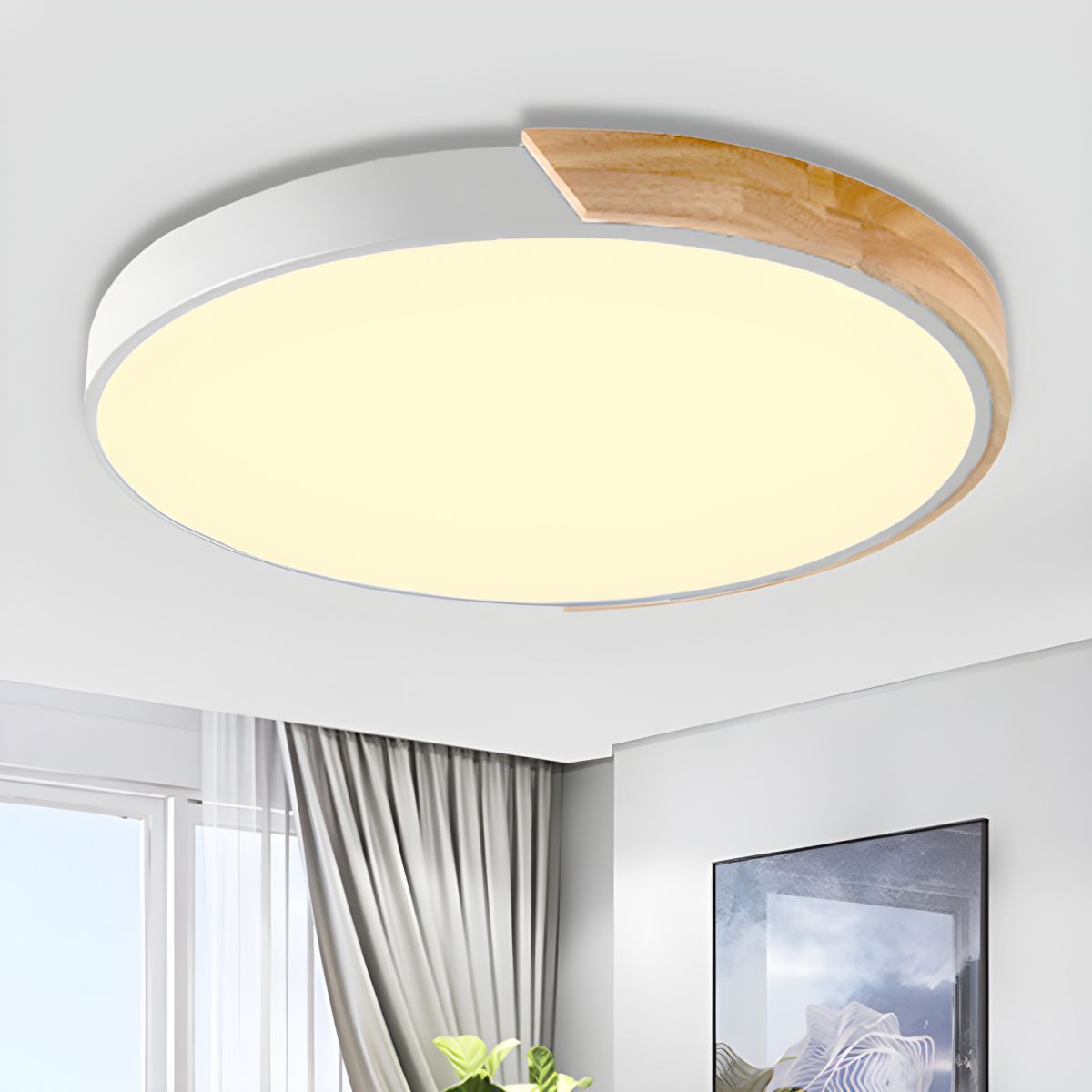 Minimalist Macaron Halo Ceiling Light