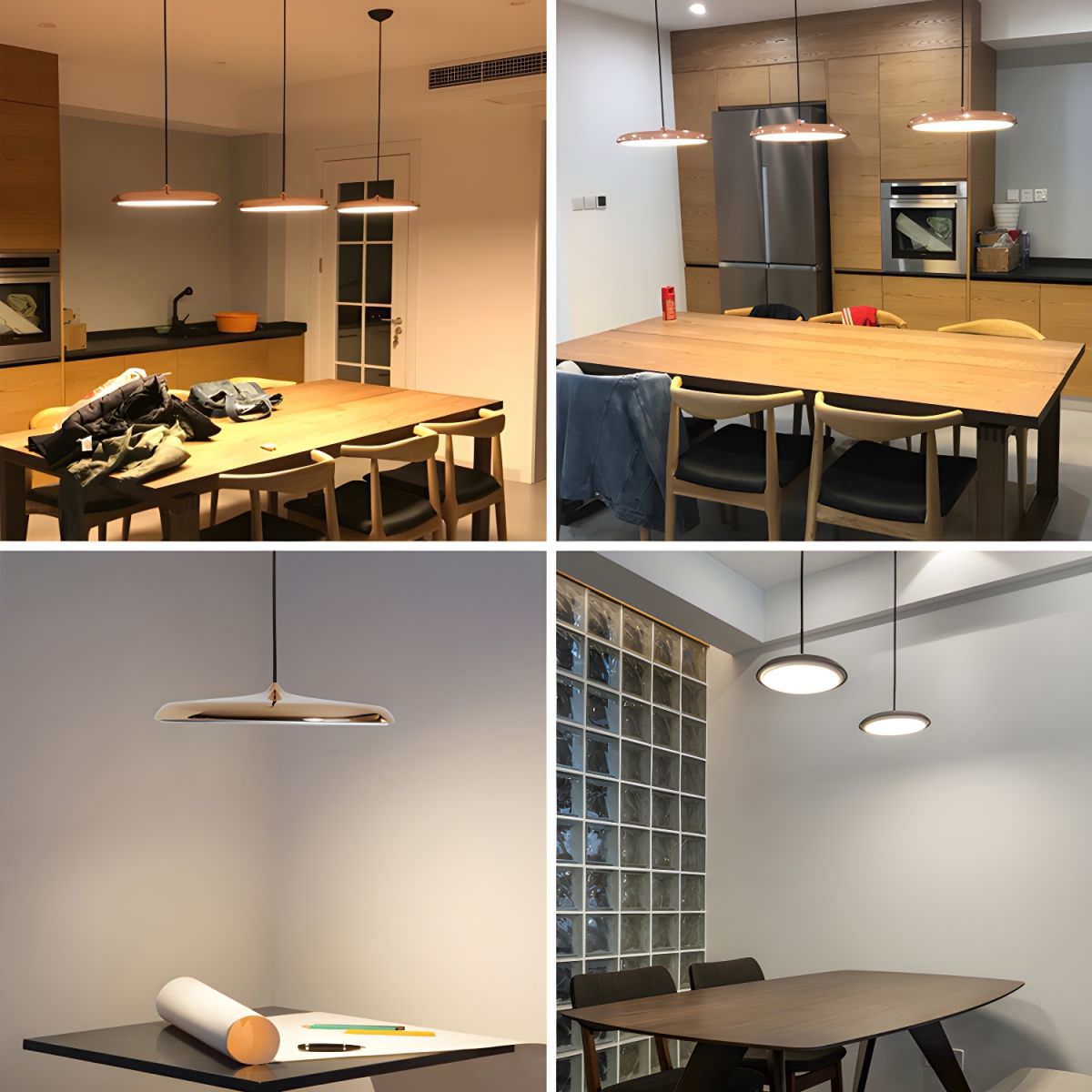 Contemporary Macaron Halo Ceiling Pendant