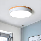 Modern Macaron Drum Ceiling Light
