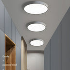 Modern Minimal Disc Ceiling Light