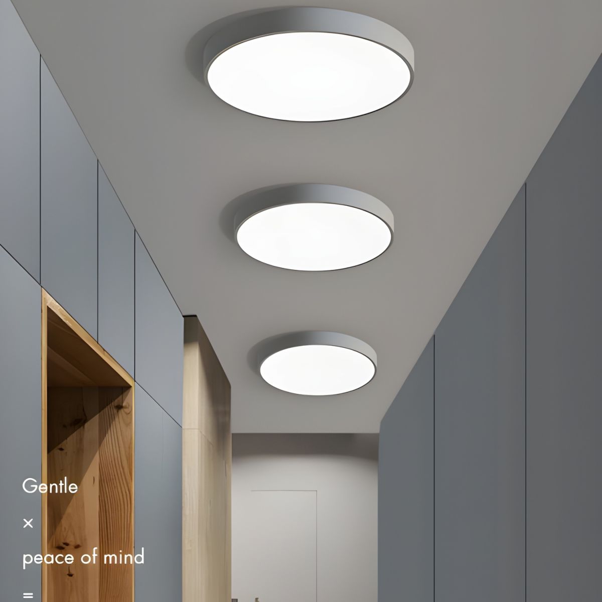 Modern Minimal Disc Ceiling Light