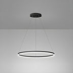 Sculptural Ring Pendant Ceiling Light