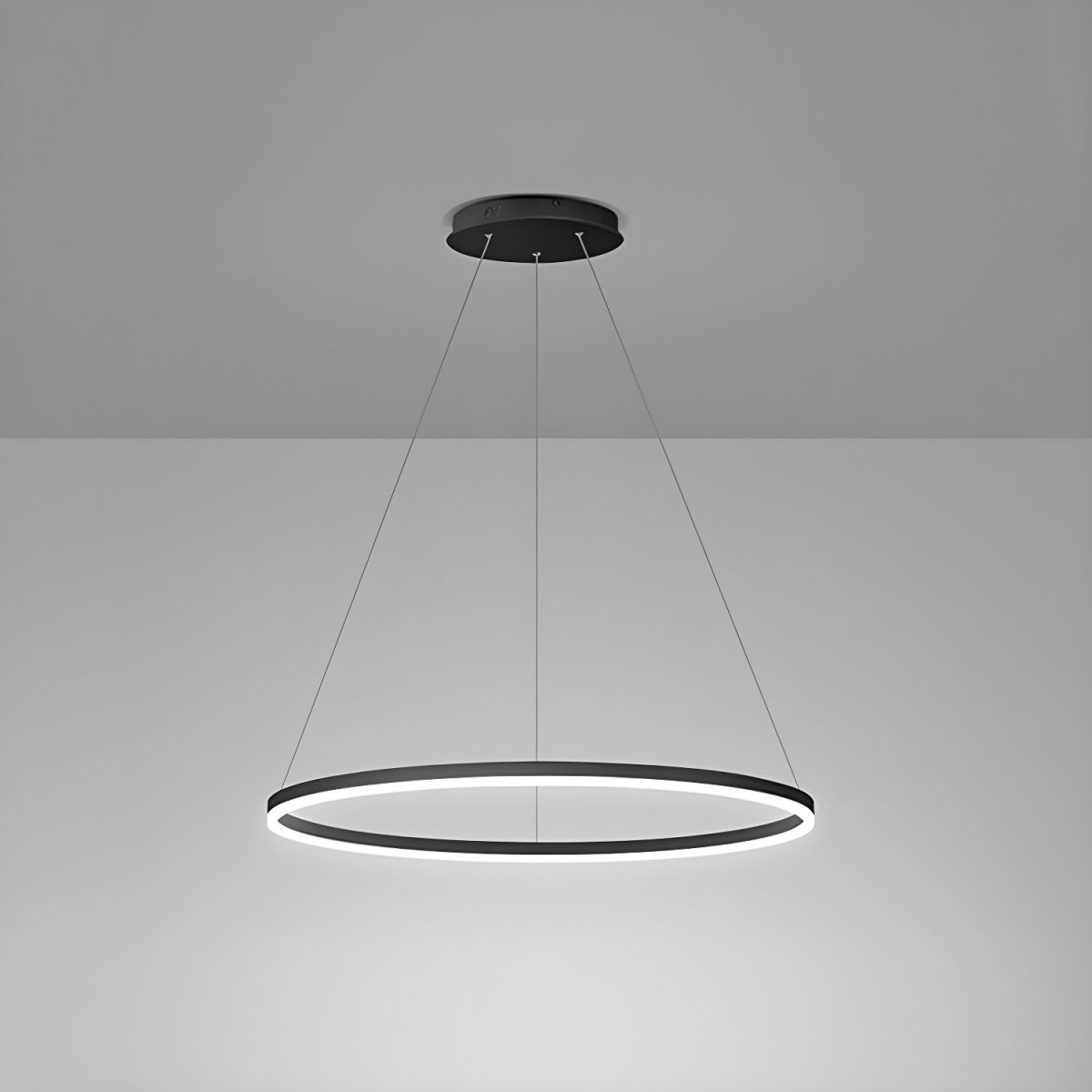 Sculptural Ring Pendant Ceiling Light