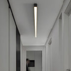 Architectural Strip Flush Ceiling Light