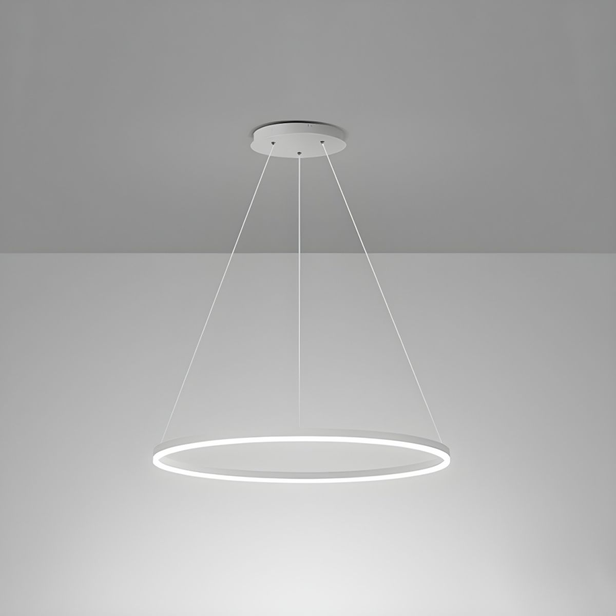Sculptural Ring Pendant Ceiling Light