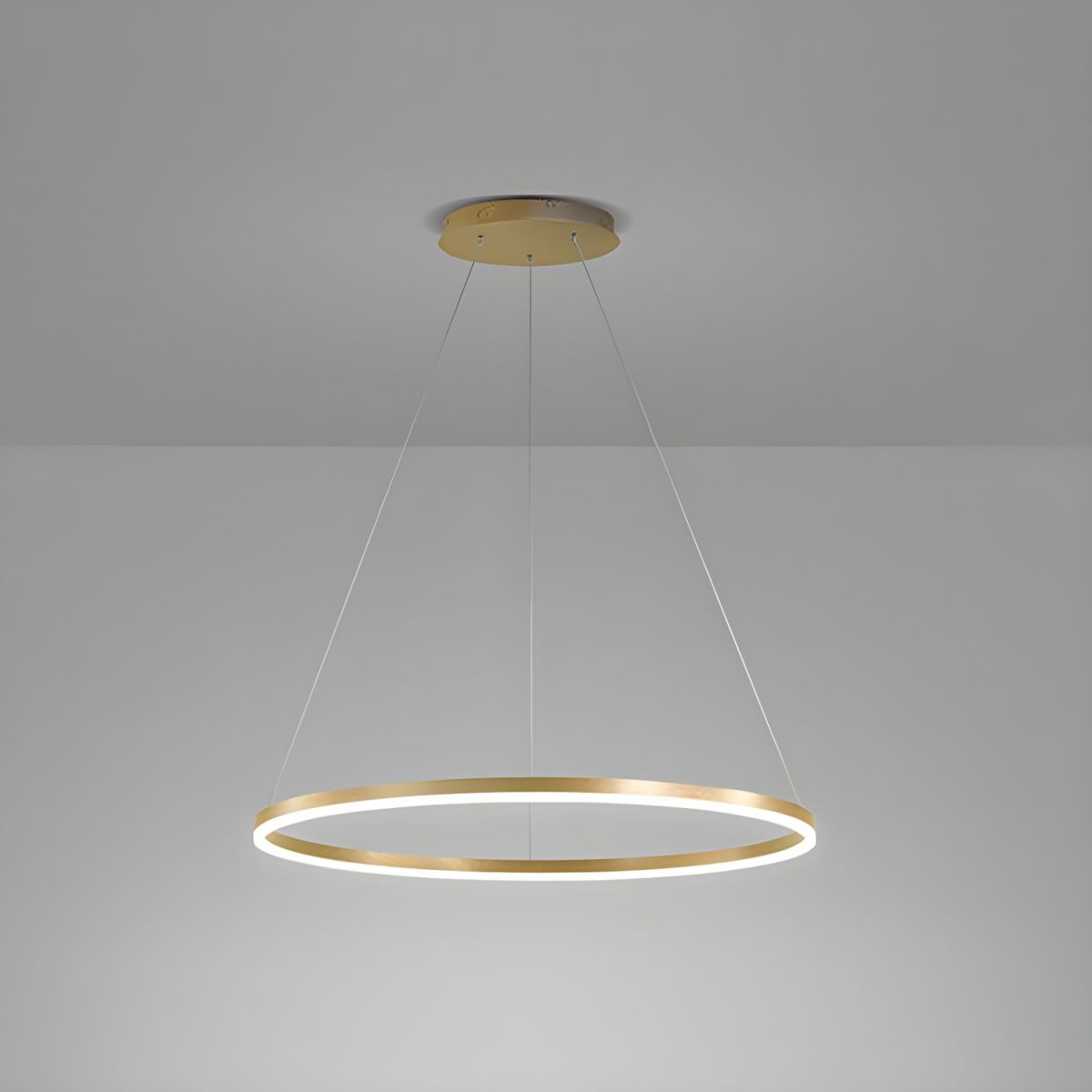 Sculptural Ring Pendant Ceiling Light