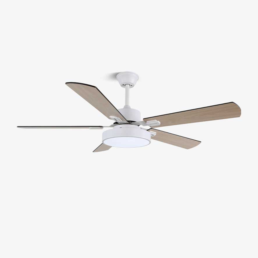 Zephyris Streamlined Modern Ceiling Light Fixture
