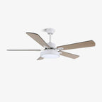 Zephyris Streamlined Modern Ceiling Light Fixture