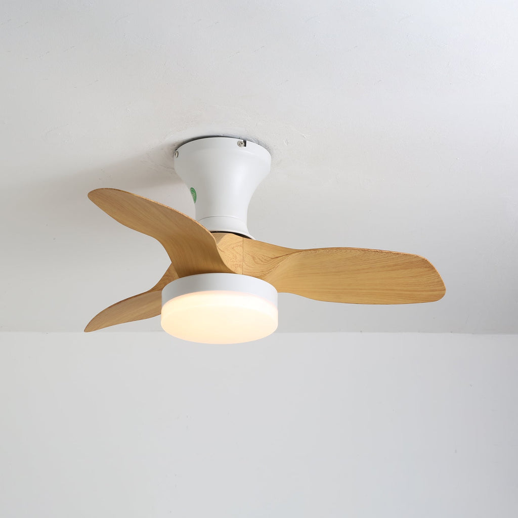 Brisa Sculpted Oak Blade Ceiling Fan Light