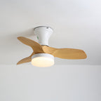 Brisa Sculpted Oak Blade Ceiling Fan Light