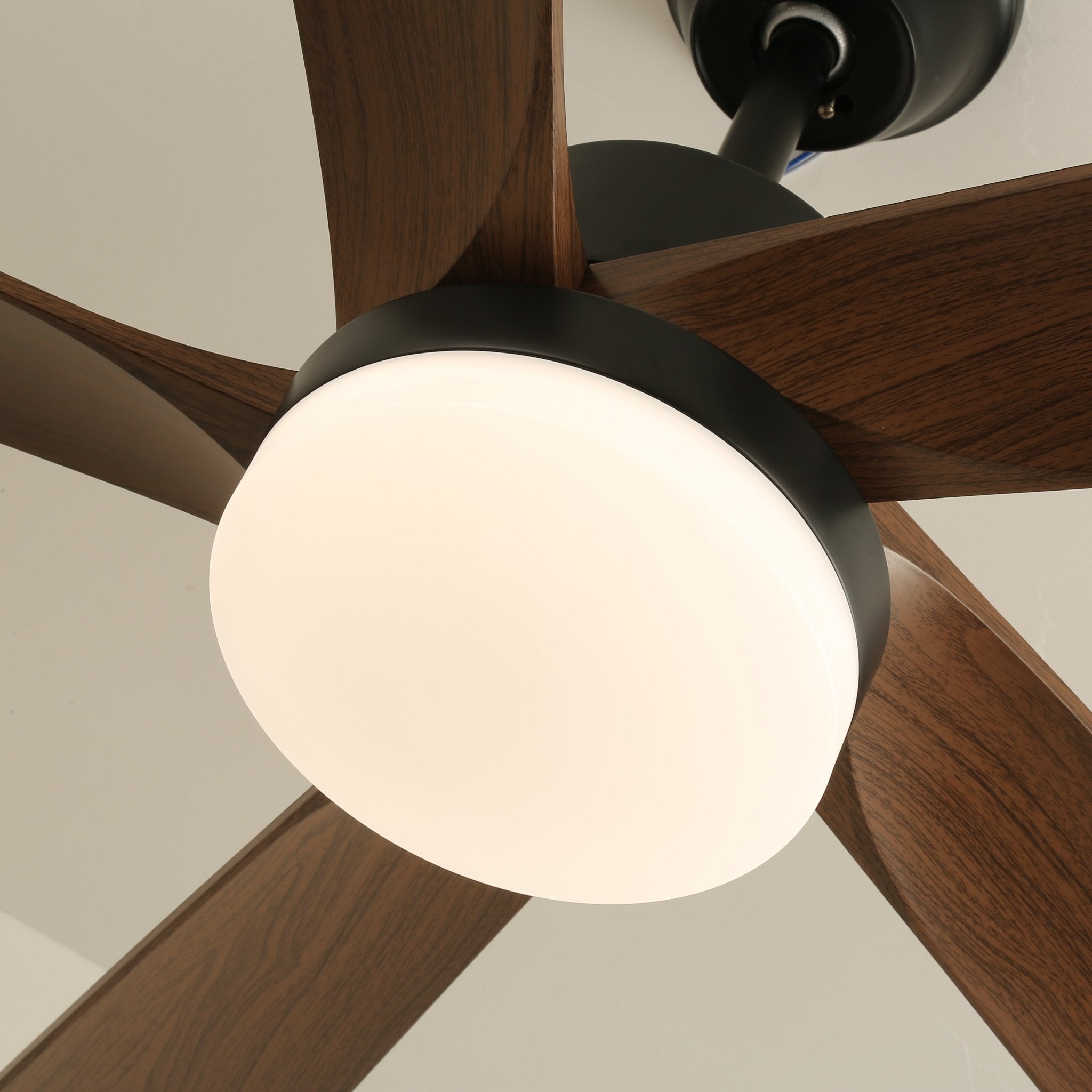 Auralin Contemporary Artisan Ceiling Fan Light