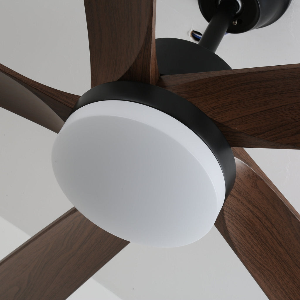 Auralin Contemporary Artisan Ceiling Fan Light