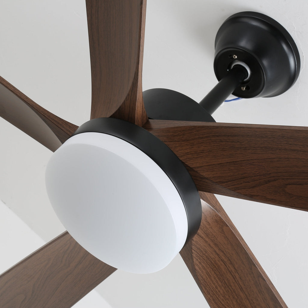 Auralin Contemporary Artisan Ceiling Fan Light