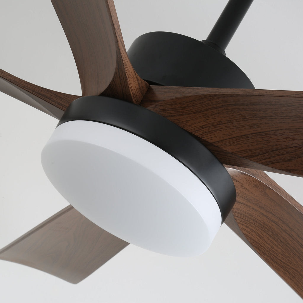 Auralin Contemporary Artisan Ceiling Fan Light