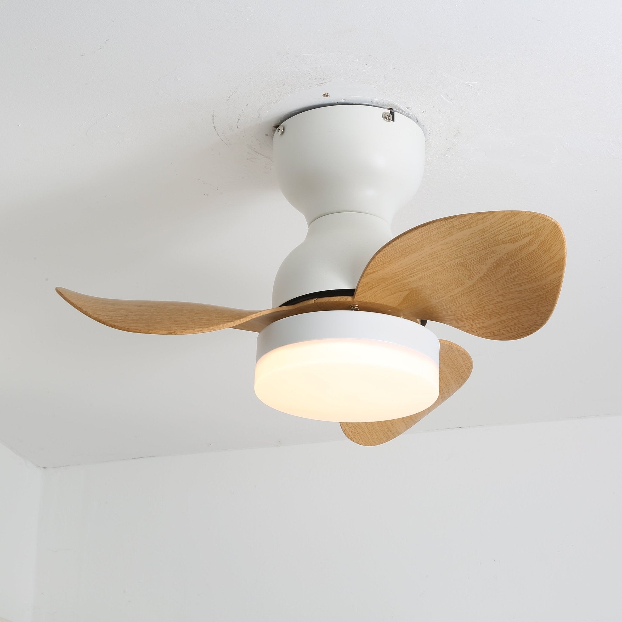 Aeroleaf Minimalist Leaf Blade Ceiling Light