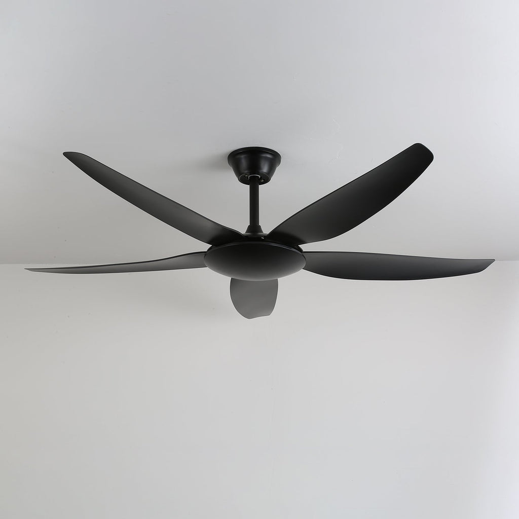 Aeron Noir Premium Black Ceiling Fan Light
