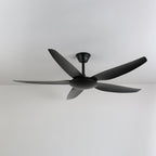 Aeron Noir Premium Black Ceiling Fan Light
