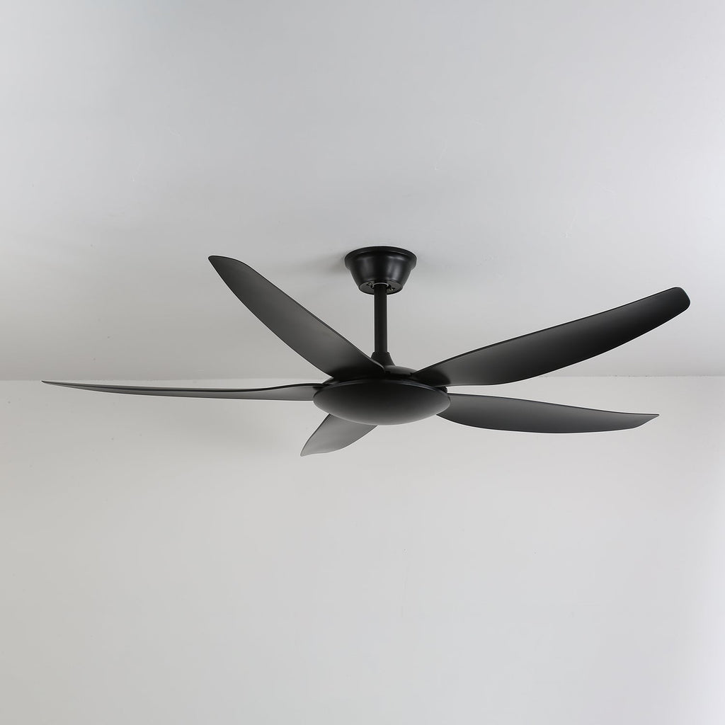 Aeron Noir Premium Black Ceiling Fan Light