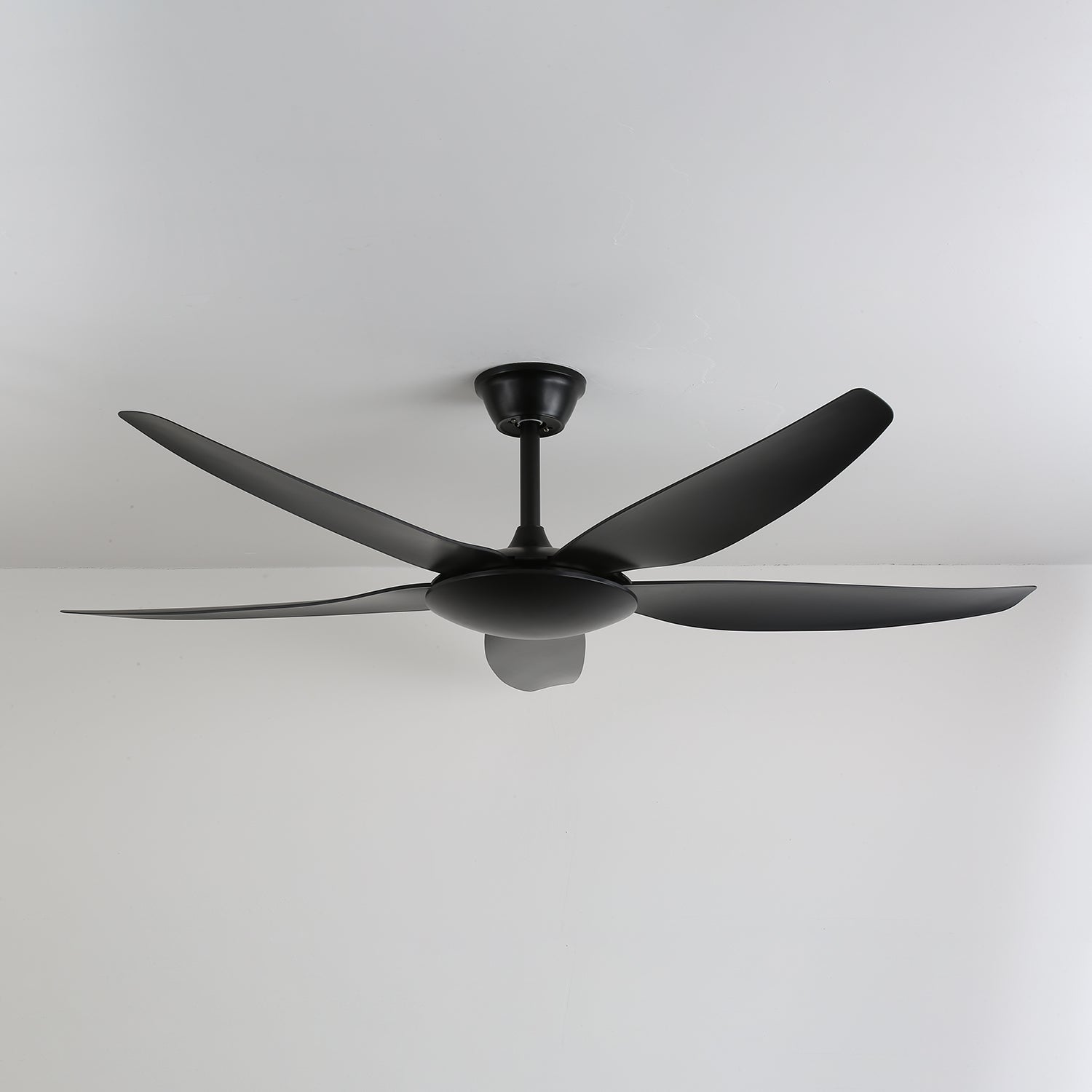 Aeron Noir Premium Black Ceiling Fan Light