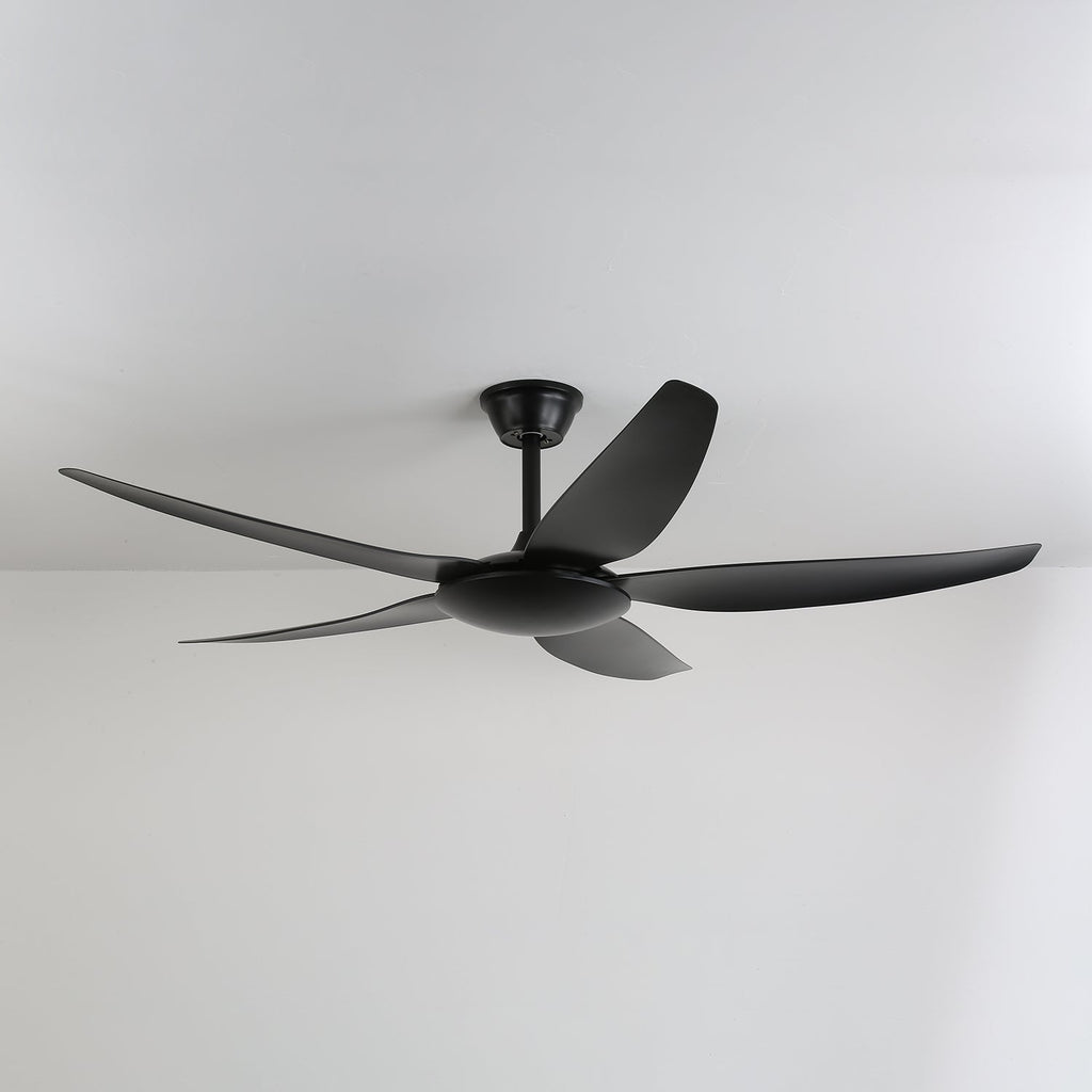 Aeron Noir Premium Black Ceiling Fan Light