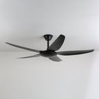 Aeron Noir Premium Black Ceiling Fan Light