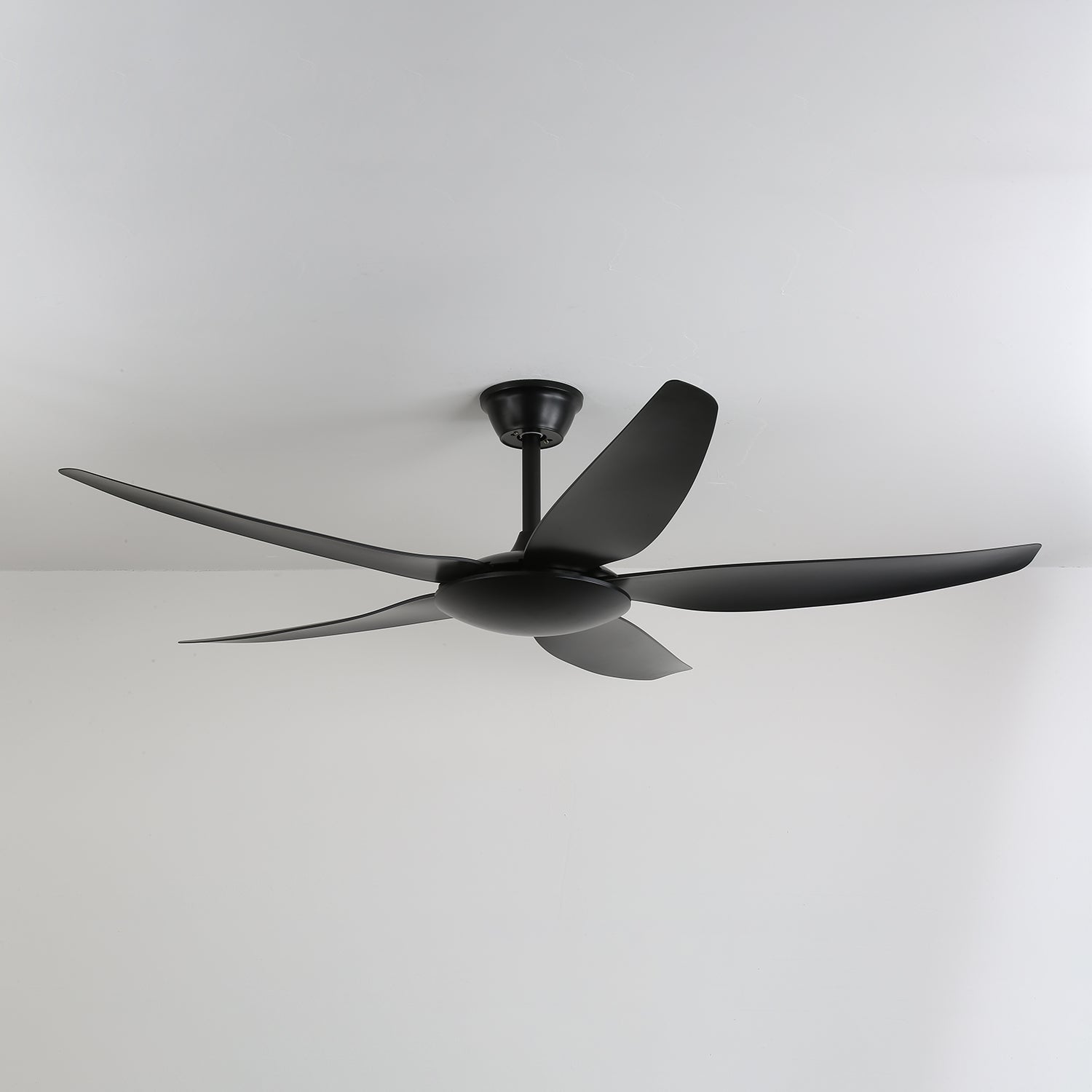 Aeron Noir Premium Black Ceiling Fan Light