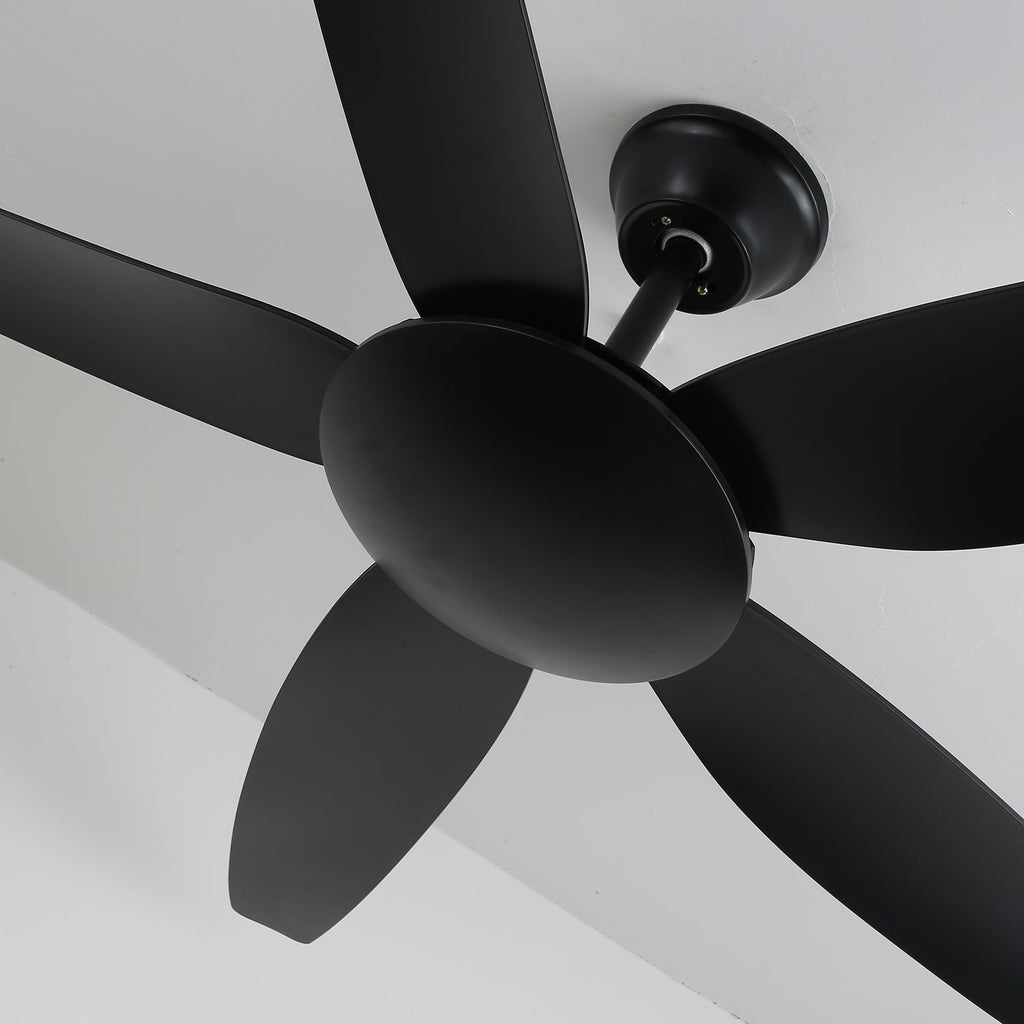 Aeron Noir Premium Black Ceiling Fan Light