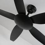 Aeron Noir Premium Black Ceiling Fan Light