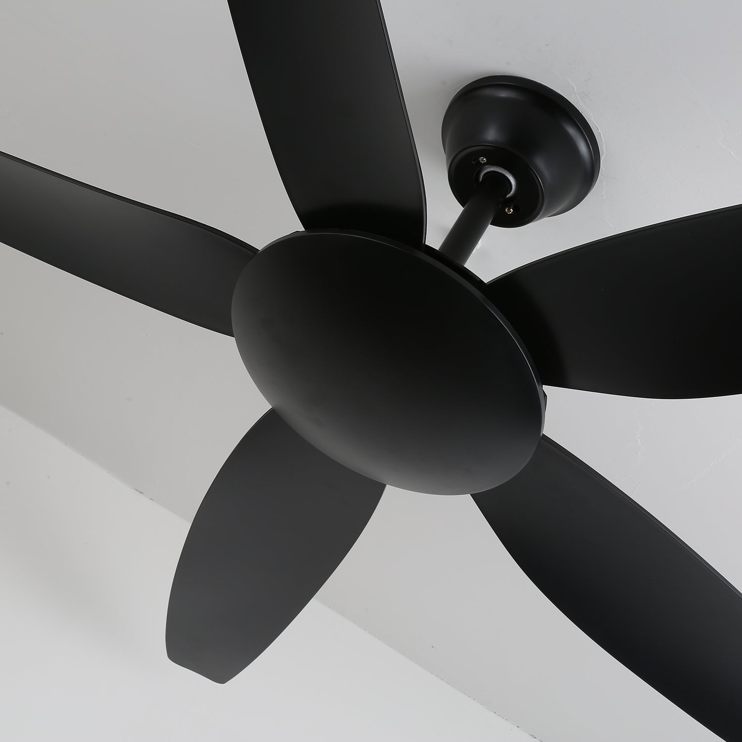 Aeron Noir Premium Black Ceiling Fan Light
