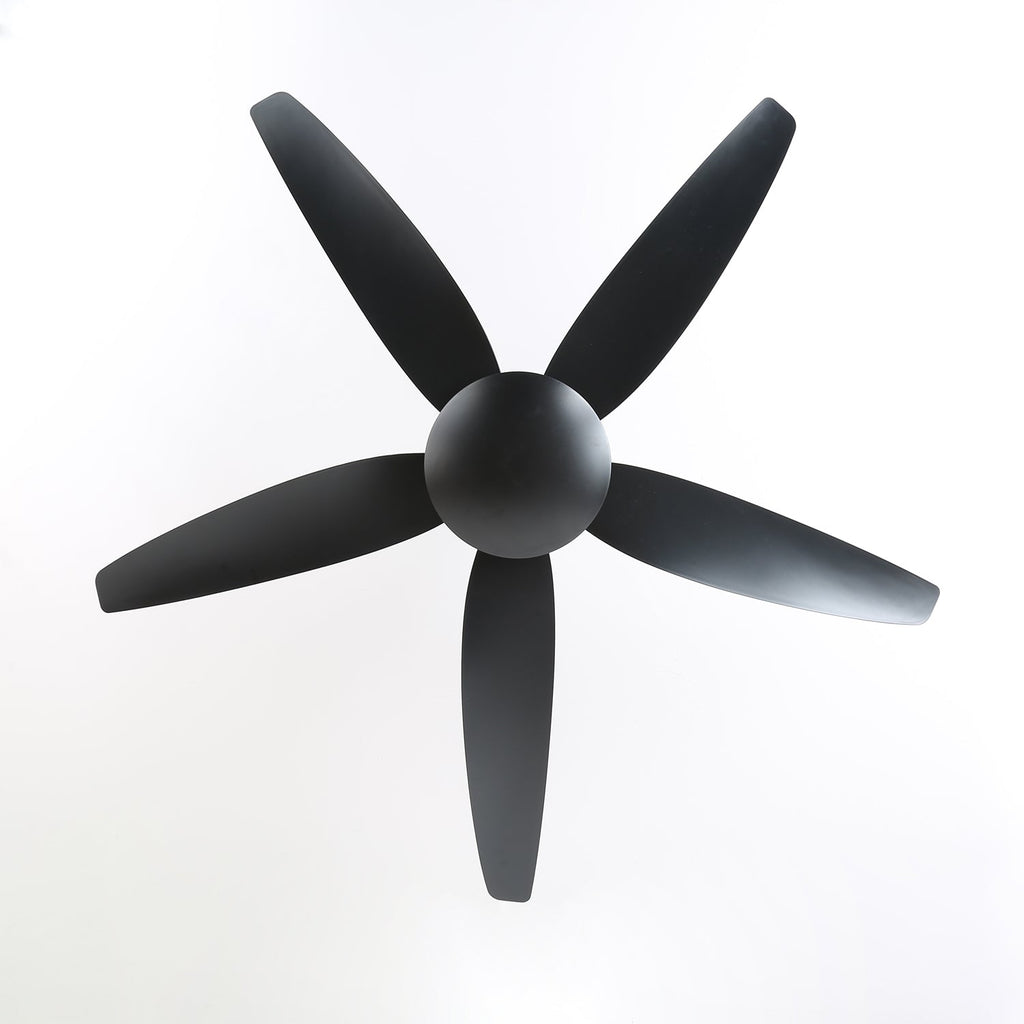 Aeron Noir Premium Black Ceiling Fan Light