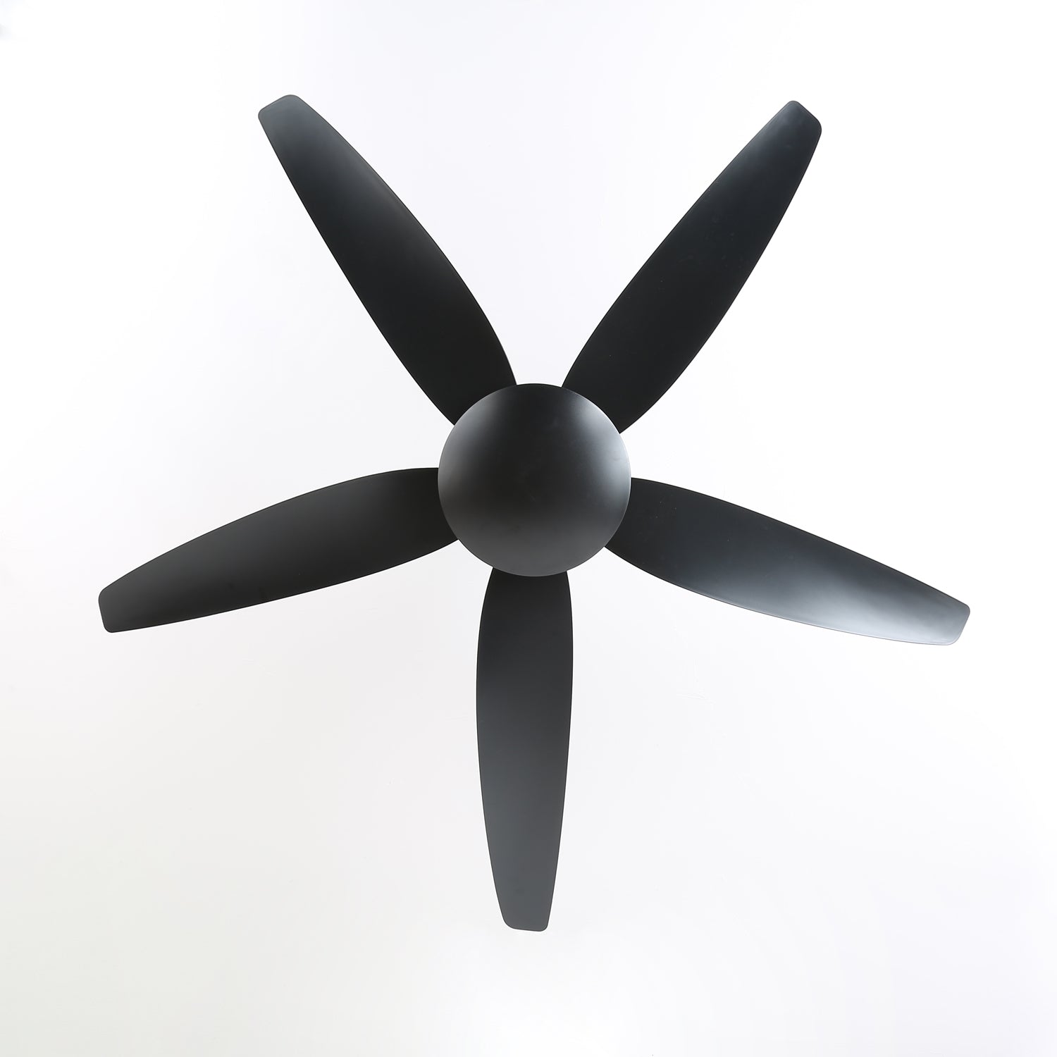 Aeron Noir Premium Black Ceiling Fan Light