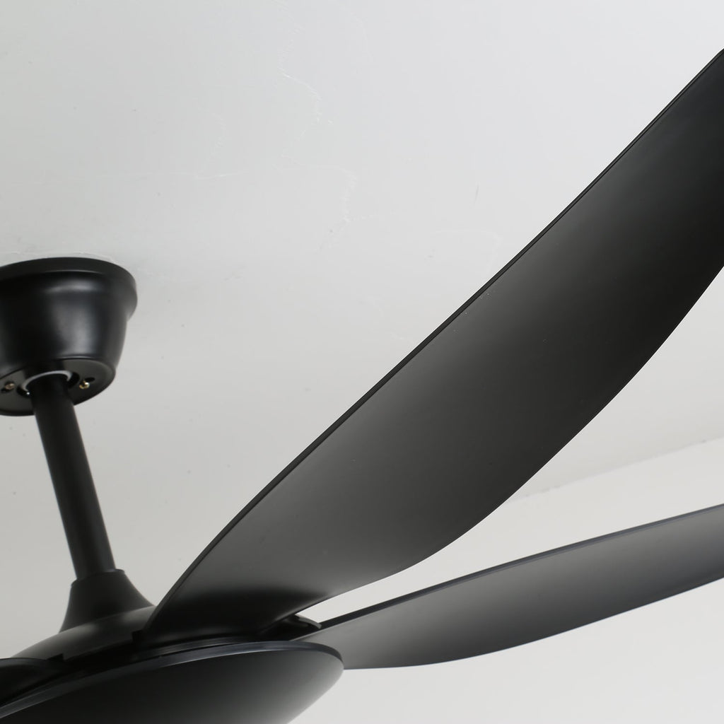 Aeron Noir Premium Black Ceiling Fan Light