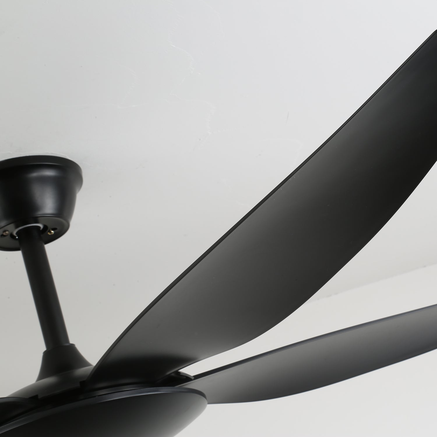 Aeron Noir Premium Black Ceiling Fan Light