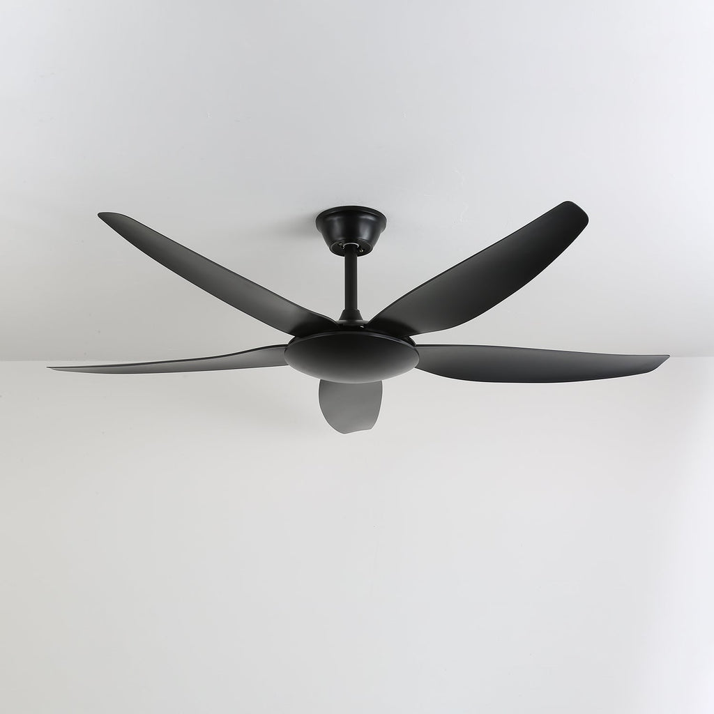 Aeron Noir Premium Black Ceiling Fan Light
