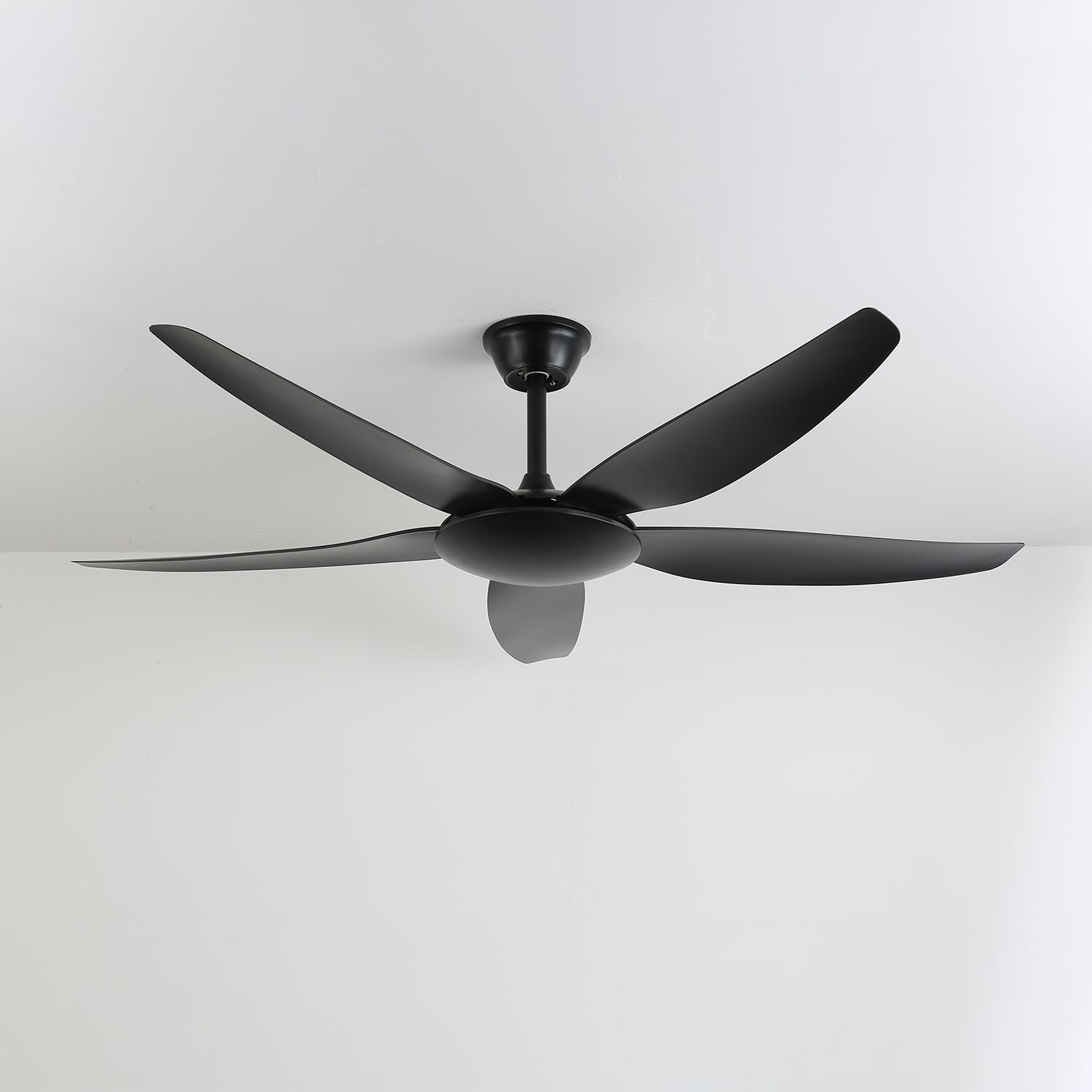 Aeron Noir Premium Black Ceiling Fan Light