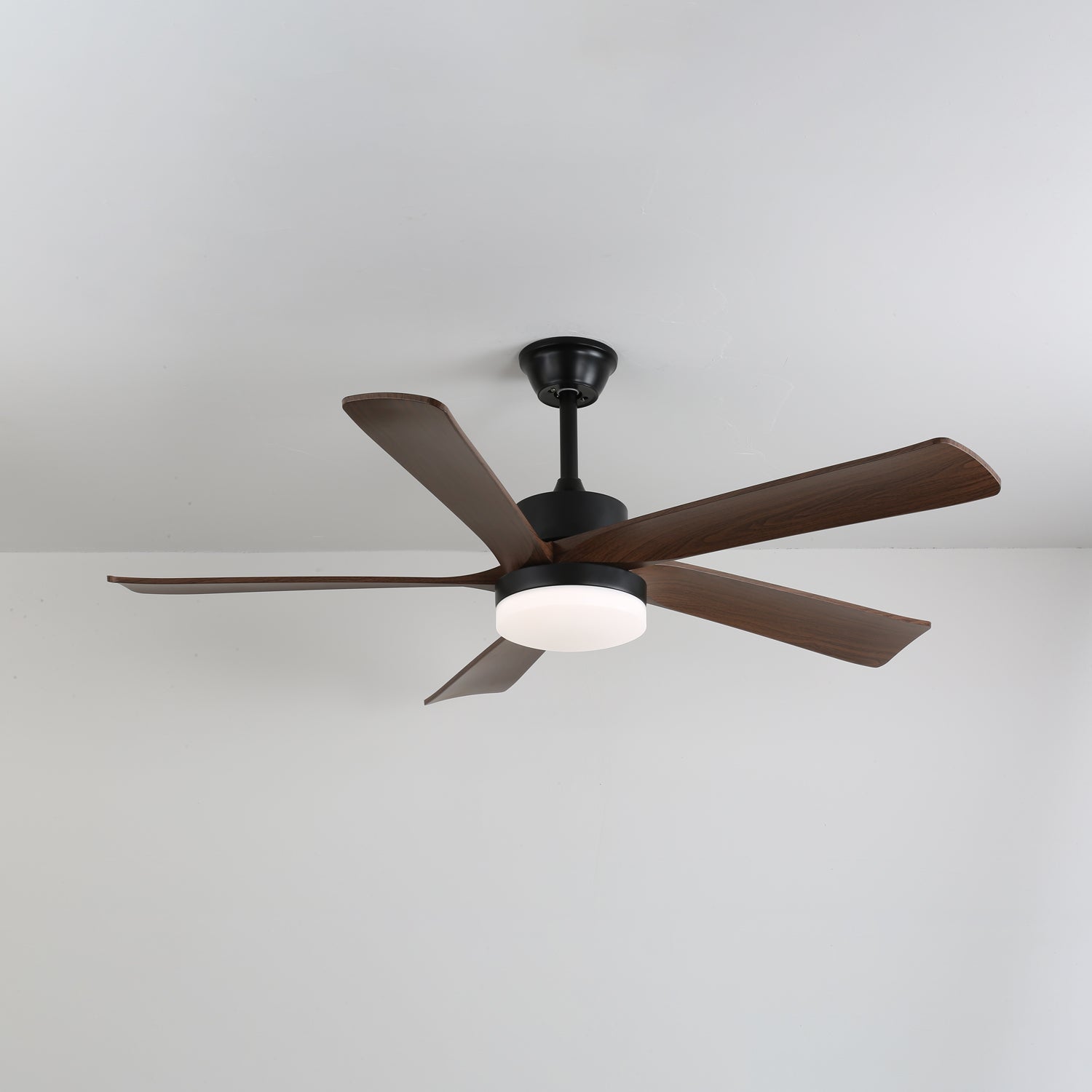 Auralin Contemporary Artisan Ceiling Fan Light