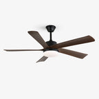 Auralin Contemporary Artisan Ceiling Fan Light