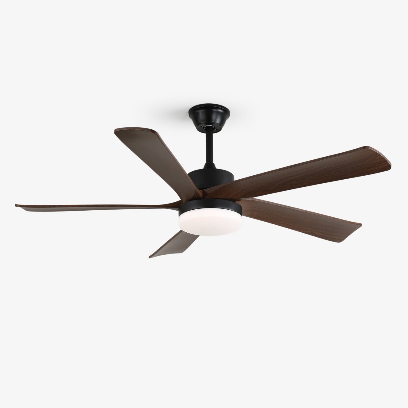 Auralin Contemporary Artisan Ceiling Fan Light
