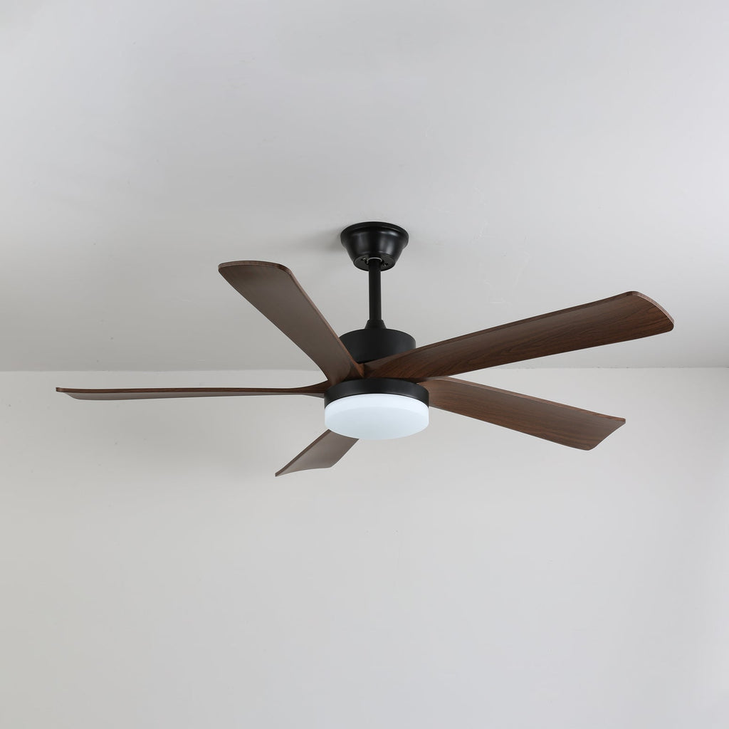 Auralin Contemporary Artisan Ceiling Fan Light