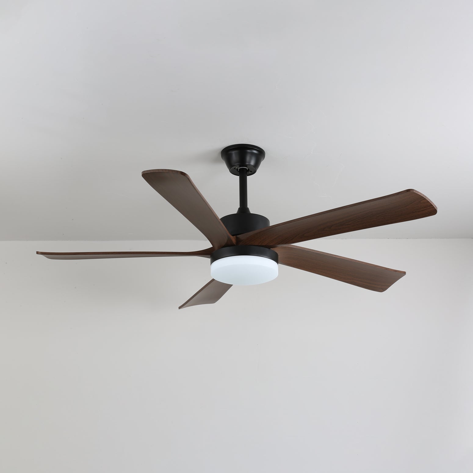 Auralin Contemporary Artisan Ceiling Fan Light